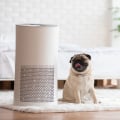 The Best Air Purifier for Smoke: What to Look For