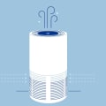 What Features Should I Look for When Buying an Air Purifier?