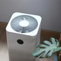 Do Air Purifiers Really Work Against Mold?