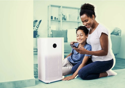 Do Air Purifiers Really Help with Mold Spores?