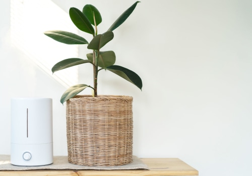 Are Ionic Air Purifiers Good for Allergies? - A Comprehensive Guide