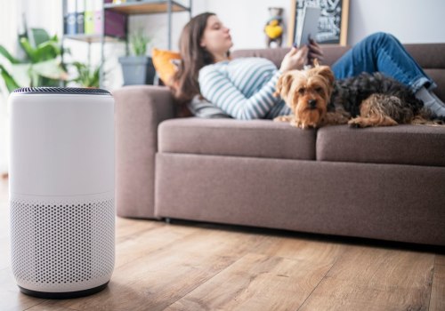 What to Look for When Shopping for an Air Purifier