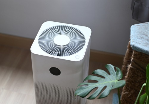 Do Air Purifiers Really Work Against Mold?